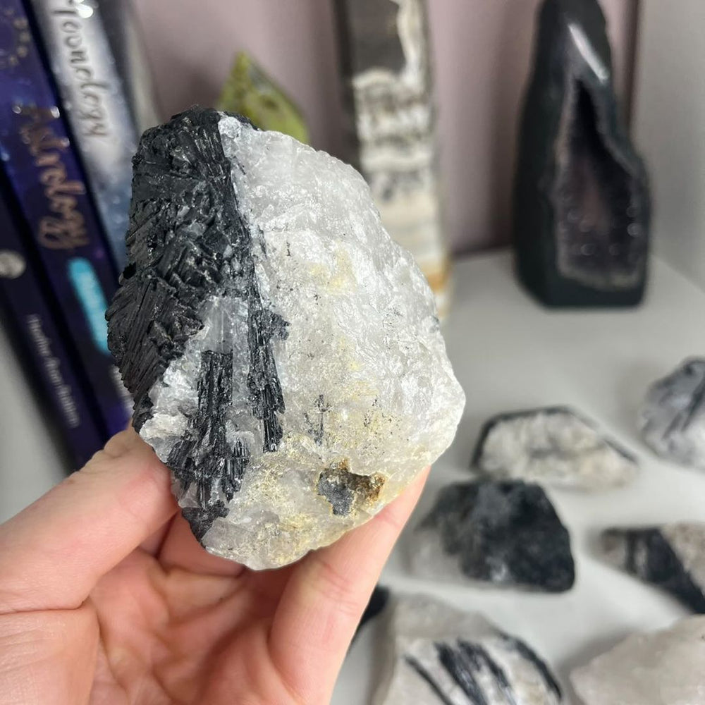A hand holding Style 2 of the rough tourmaline in quartz specimen, showcasing a large chunky piece of frosty clear quartz heavily loaded with thick blocks of dark black tourmaline for Root and Crown Chakra anchoring.