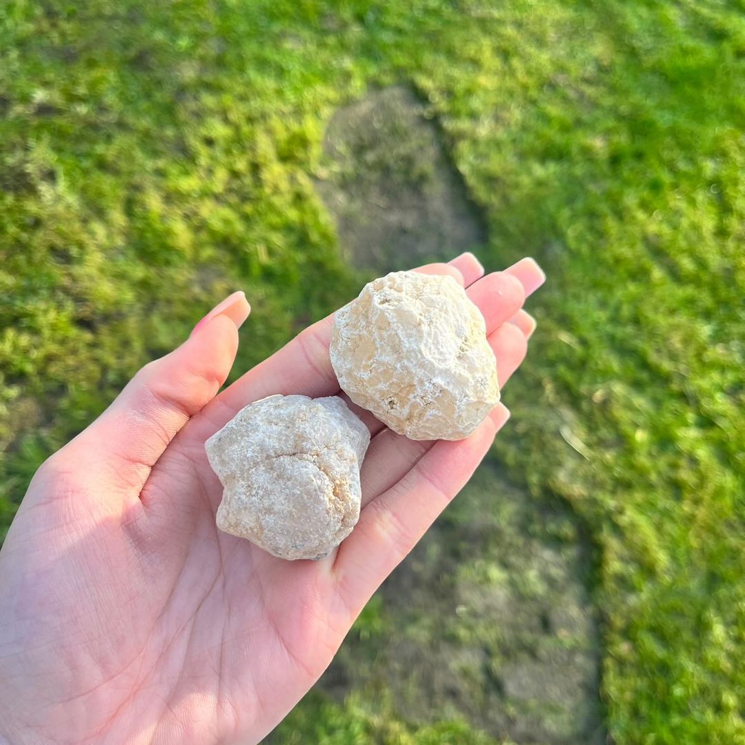 A hand presenting two medium unbroken white quartz geodes outdoors over a grassy lawn, detailing the bumpy, dusty outer layers and natural subterranean textures that hide a secret hollow centre.