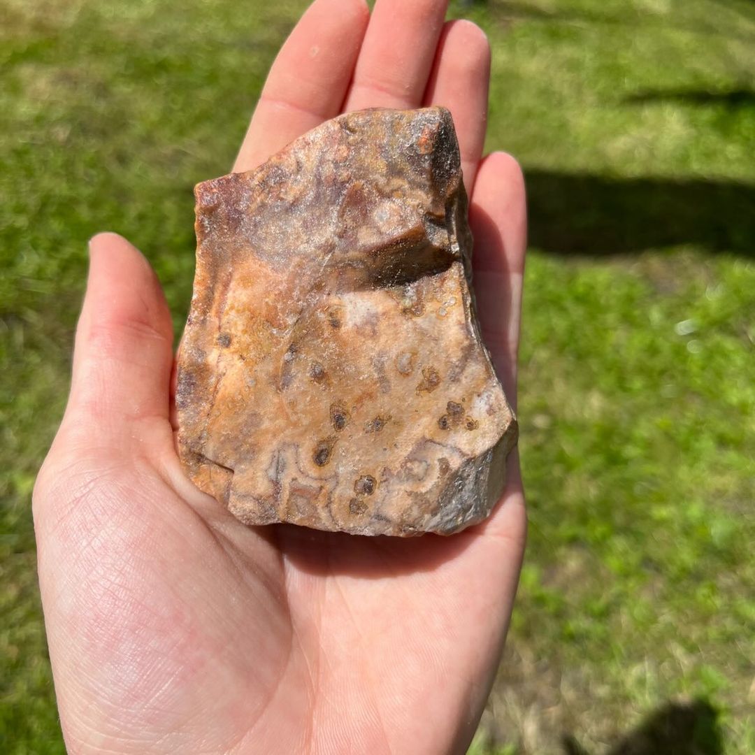 A hand turning a rough crazy lace agate specimen to show the natural unpolished reverse side matrix, highlighting the authentic birthmarks left by the Earth to support an atmosphere of deep gratitude and light-hearted fulfilment.